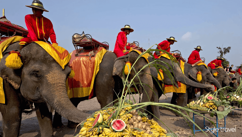 Surin Elephant Round-Up