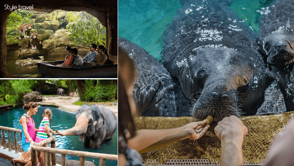 Visit Singapore Zoo & River Wonders