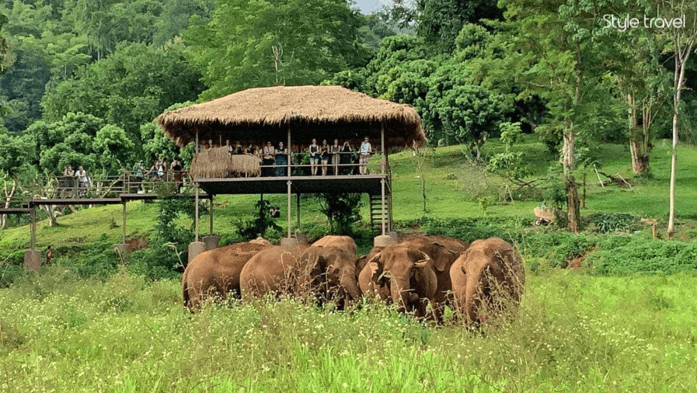 Elephant Nature Park