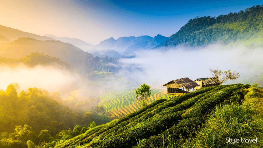 Highlight Chiang Mai