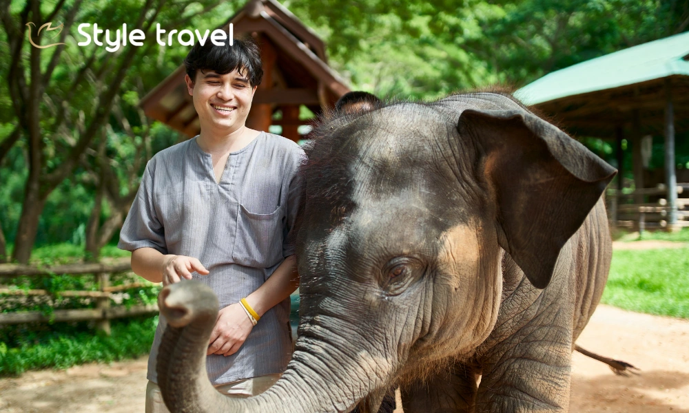 Ethical Elephant Experiences