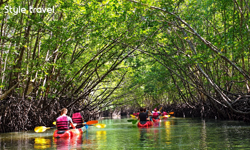 Kayaking through the mangrove waterways of Ao Thalane in Krabi