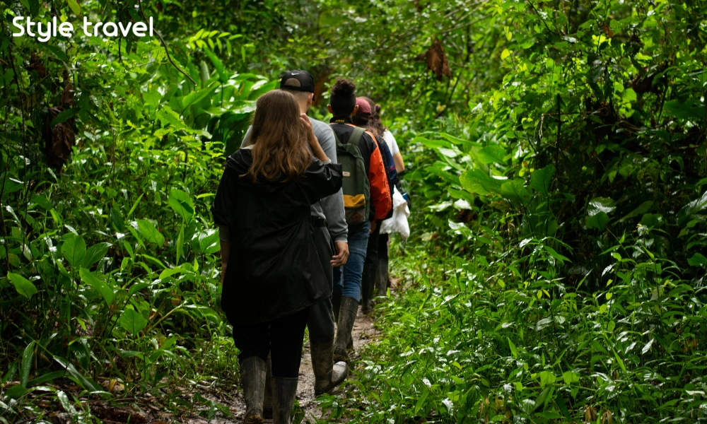 Visitors following a guide along a rainforest trail in Khao Sok