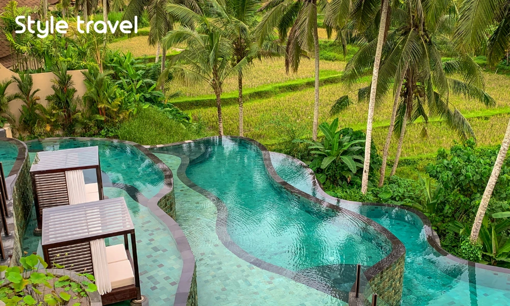 Accommodation overlooking rice fields near Ubud in Bali