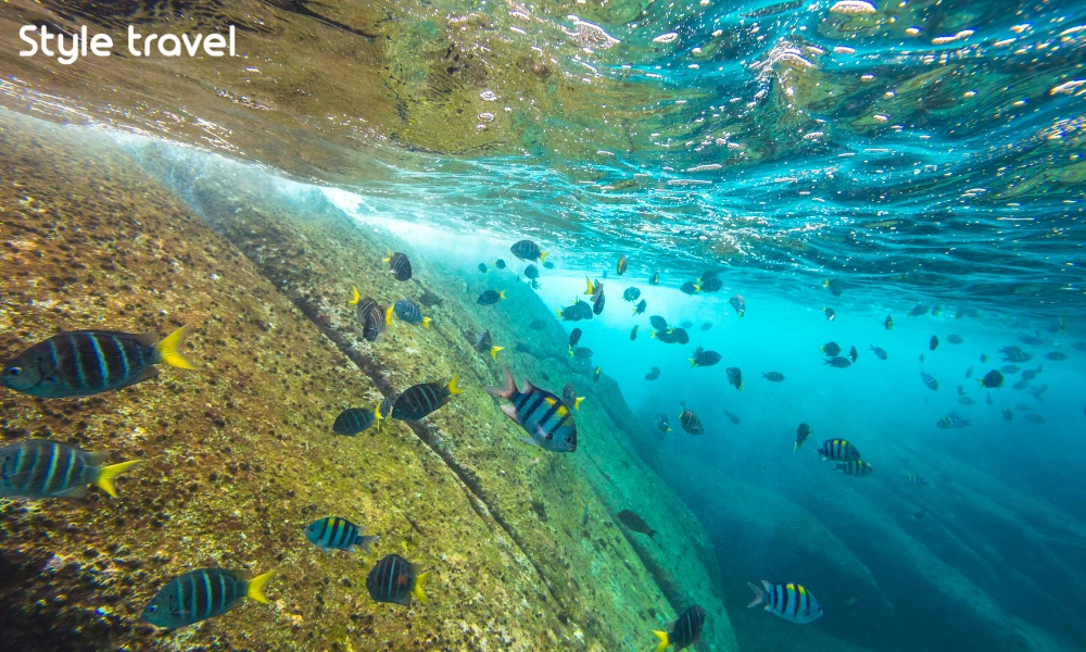 Granite boulders and reef fish underwater in the Similan Islands