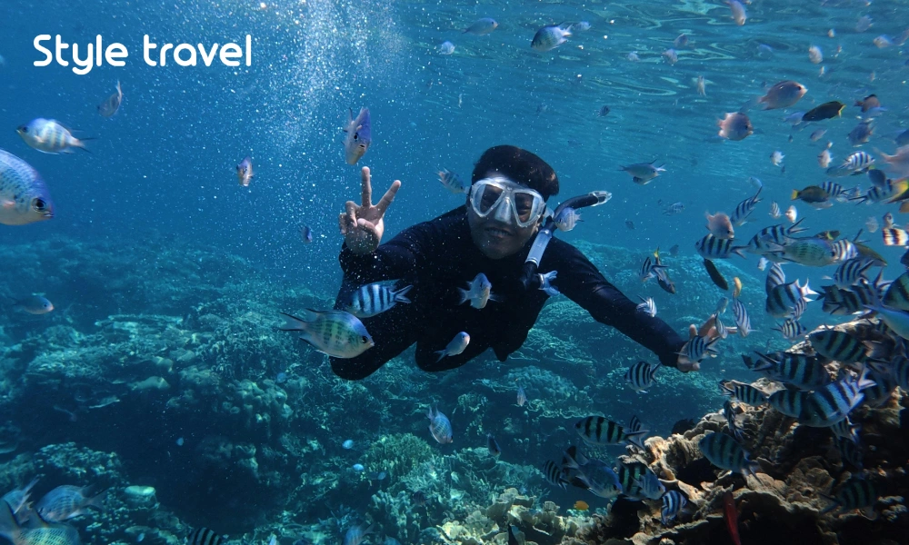 Scuba diver among reef fish, illustrating diving in the Similan Islands